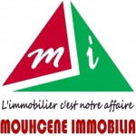 Amir(Mouhcene immobilia) Agence immobiliere