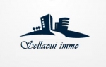 Agence immobiliere l\'immobiliére