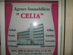 Agence immobiliere agence celia
