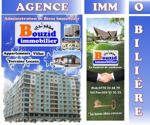 Agence immobiliere Ag Immob 