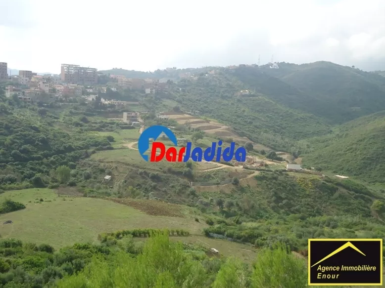 Vente Terrain Bejaia