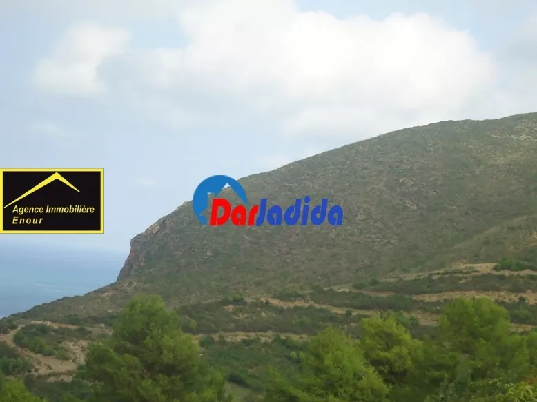 Vente Terrain Bejaia