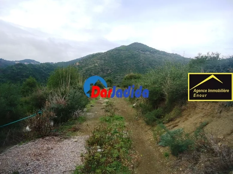 Vente Terrain Bejaia