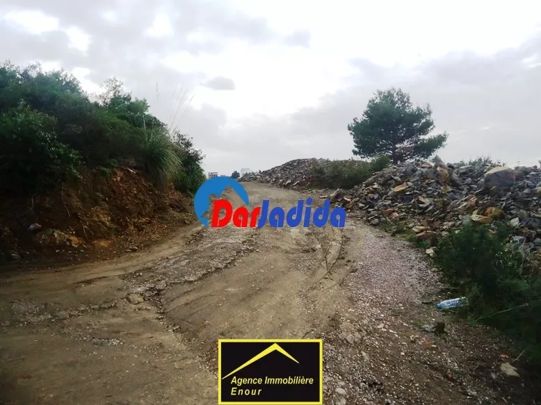 Vente Terrain Bejaia