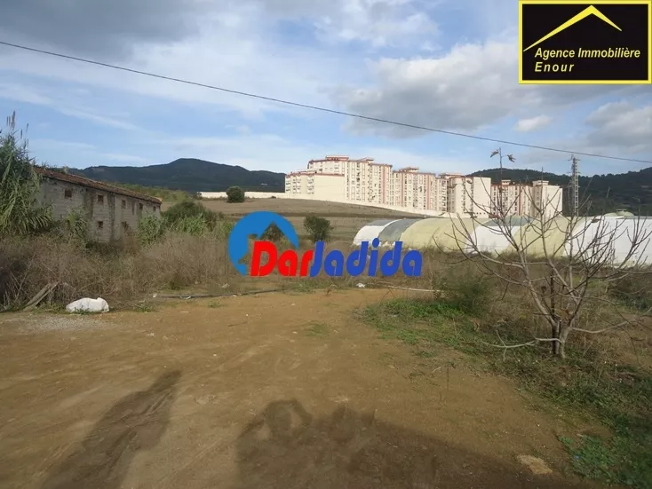 Vente Terrain Bejaia