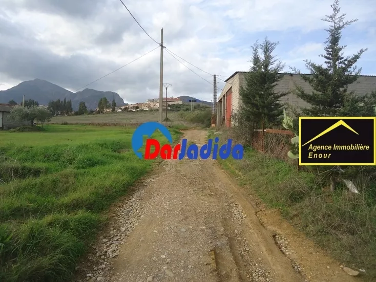 Vente Terrain Bejaia
