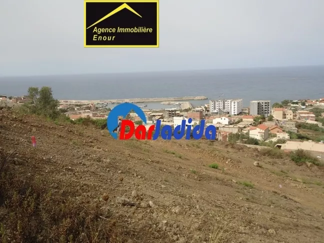 Vente Terrain Bejaia