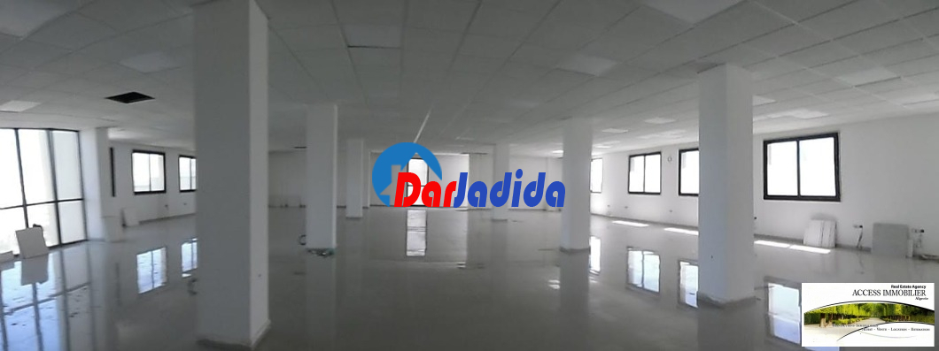 Vente Immeuble  Alger