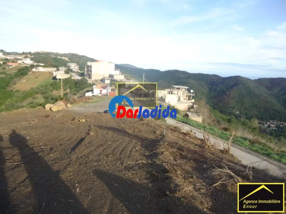 Vente Terrain Bejaia