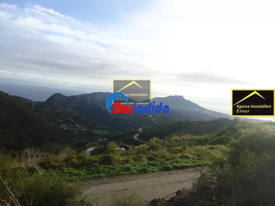 Vente Terrain Bejaia