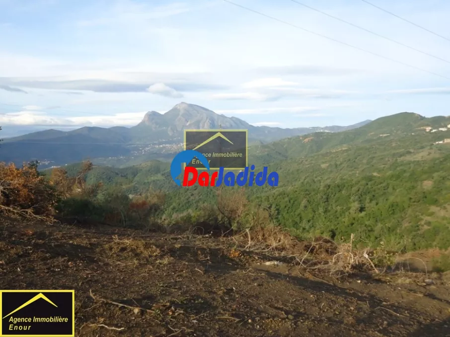 Vente Terrain Bejaia