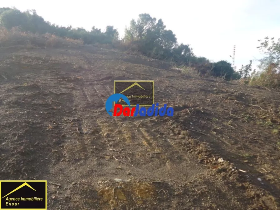 Vente Terrain Bejaia