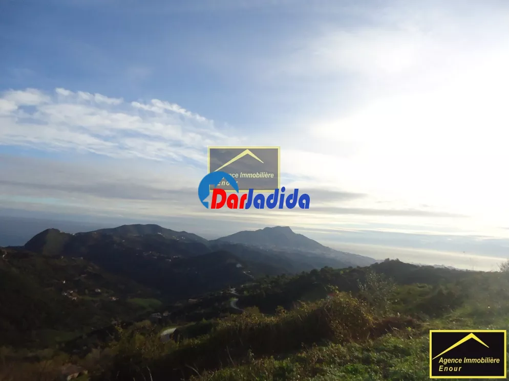 Vente Terrain Bejaia