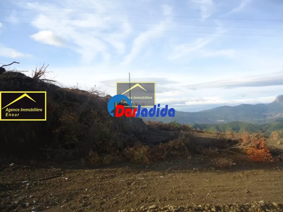 Vente Terrain Bejaia