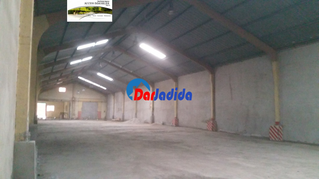 Location Hangar  Alger