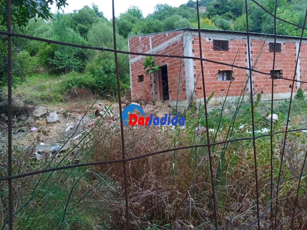 Vente Hangar  Tizi-ouzou