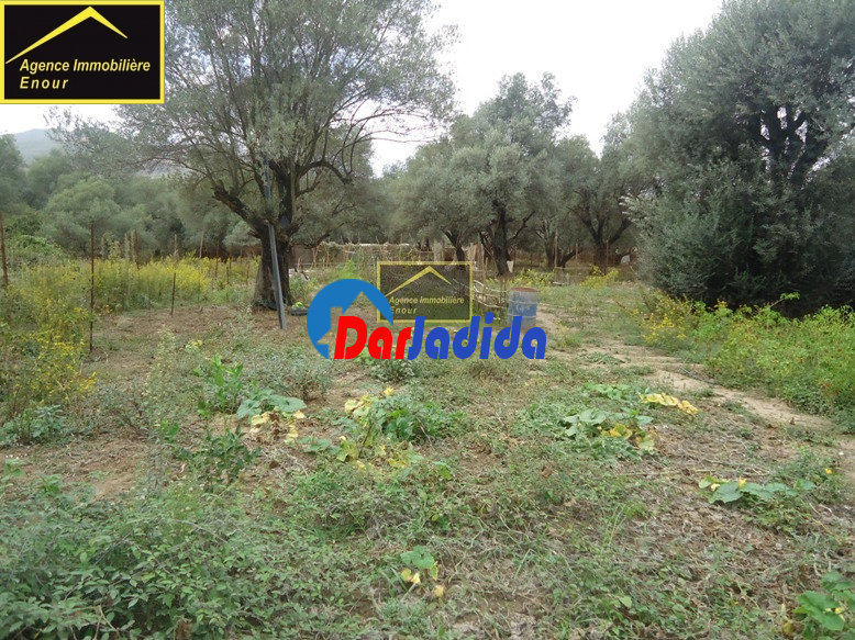 Vente Terrain  Bejaia