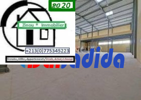 Location Hangar  Setif