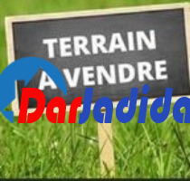Vente Terrain  Annaba
