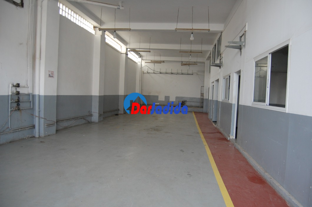 Location Local  Alger