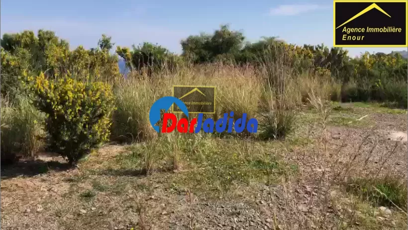 Vente Terrain Bejaia