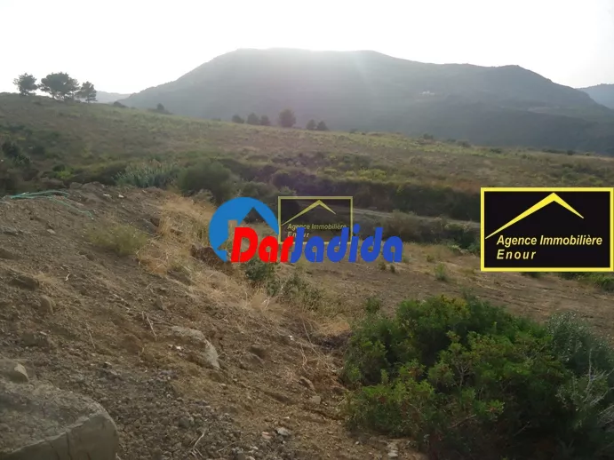 Vente Terrain Bejaia