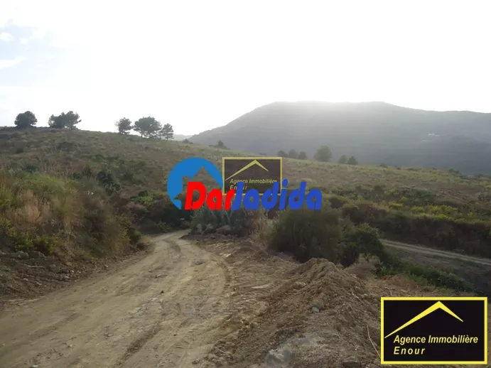Vente Terrain Bejaia