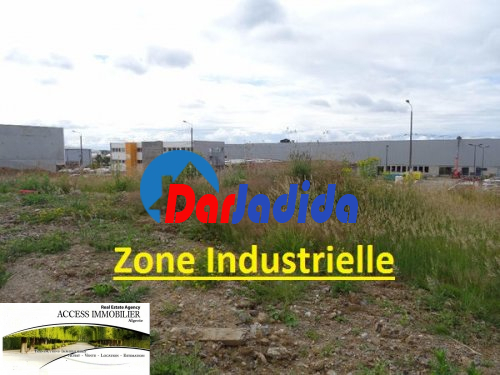 Location Terrain  Skikda