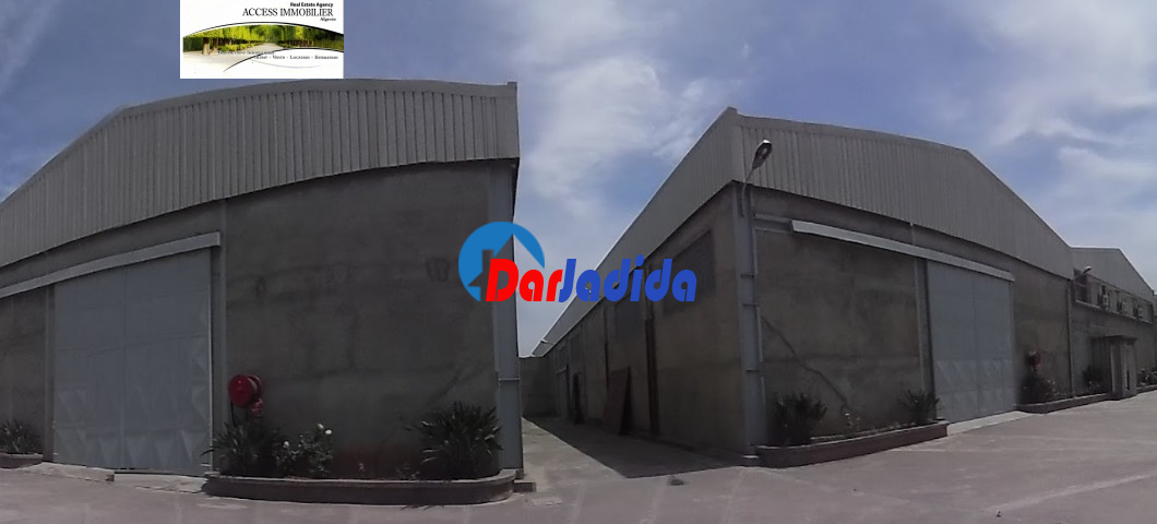 Location Hangar  Oran