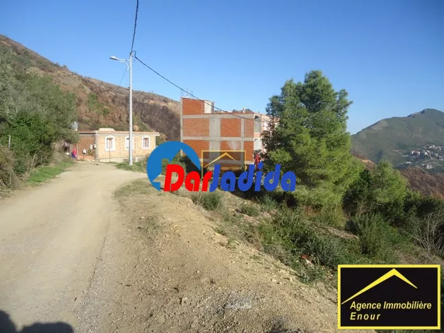 Vente Terrain Bejaia