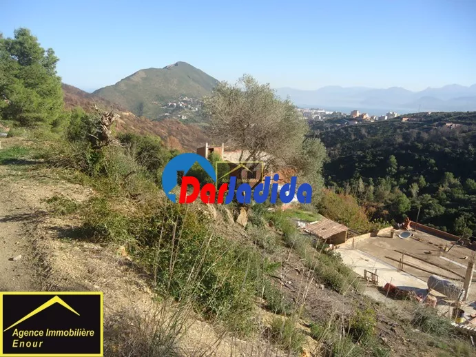 Vente Terrain Bejaia