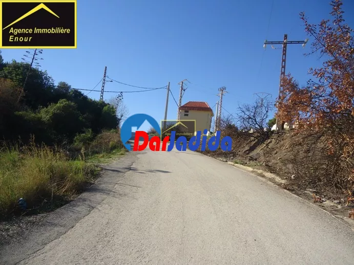 Vente Terrain Bejaia