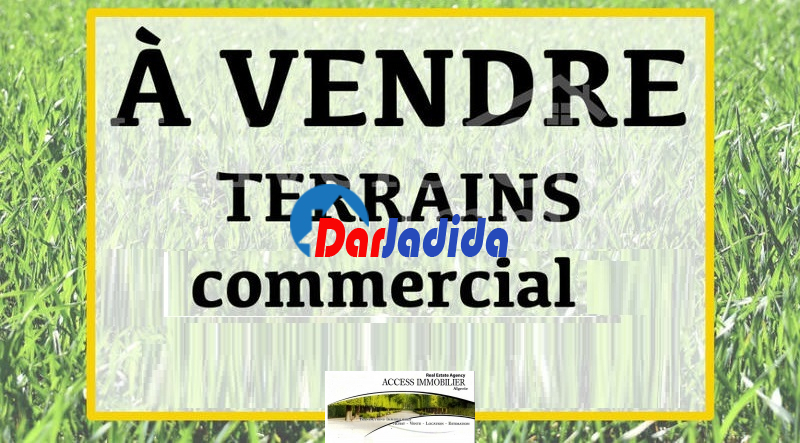 Vente Terrain  Alger