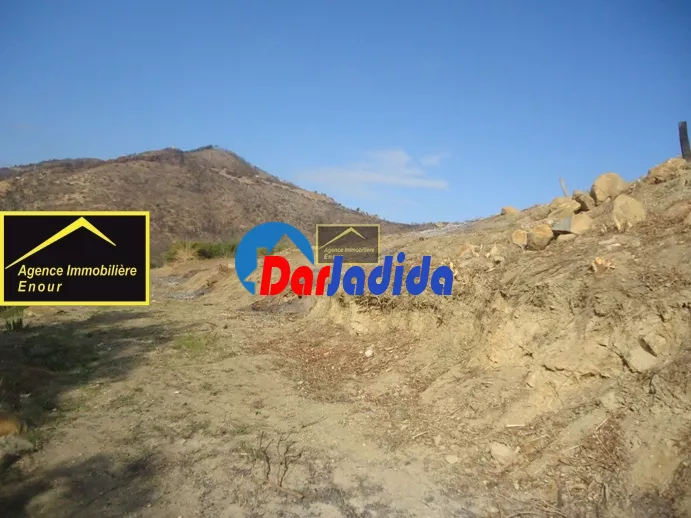Vente Terrain Bejaia