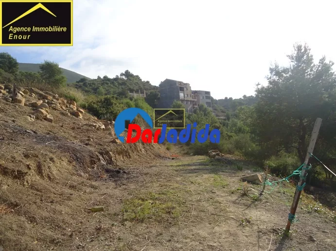 Vente Terrain Bejaia