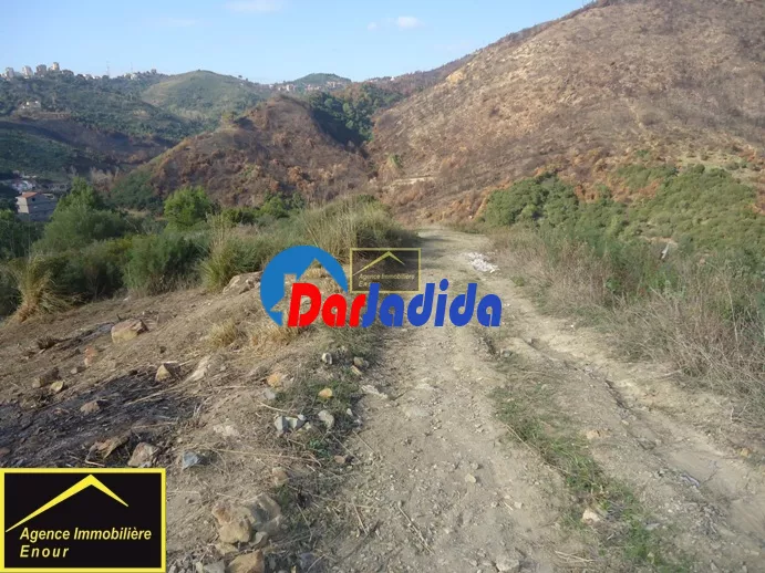 Vente Terrain Bejaia