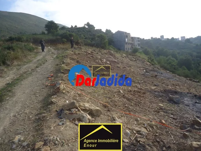 Vente Terrain Bejaia