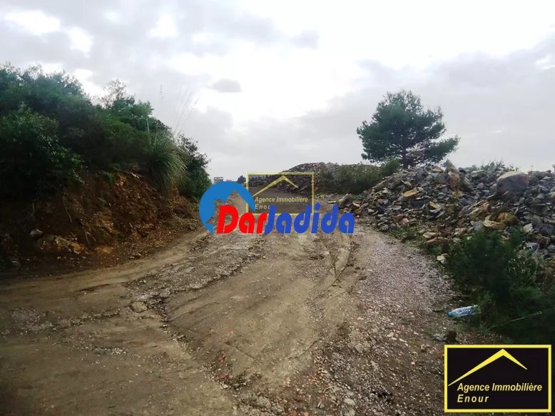 Vente Terrain Bejaia