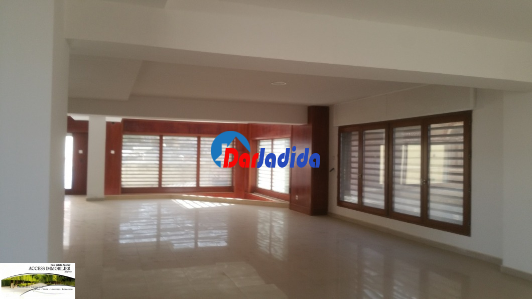 Location Local  Alger