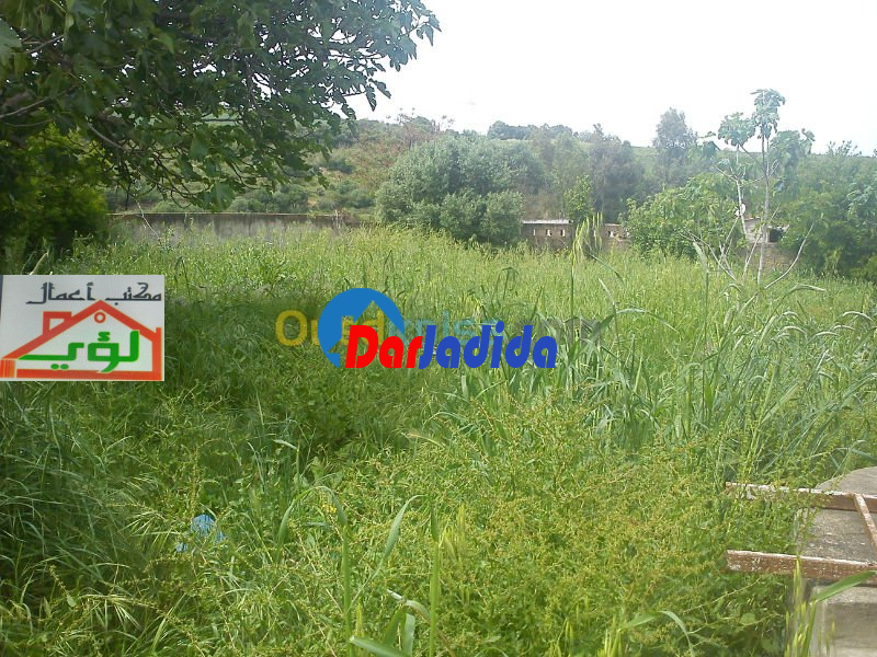 Vente Terrain  Boumerdes