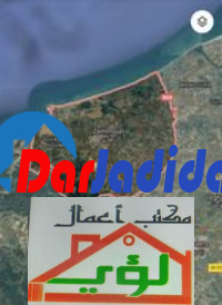 Vente Terrain  Boumerdes