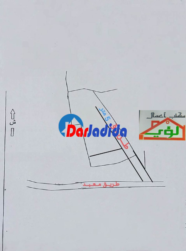 Vente Terrain  Boumerdes