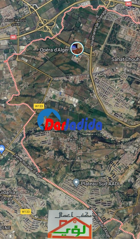 Vente Terrain  Alger