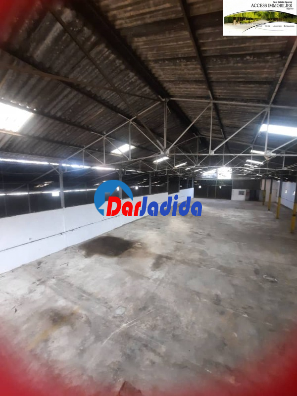 Vente Hangar  Alger