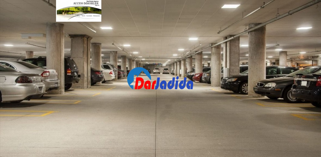 Location Local  Alger