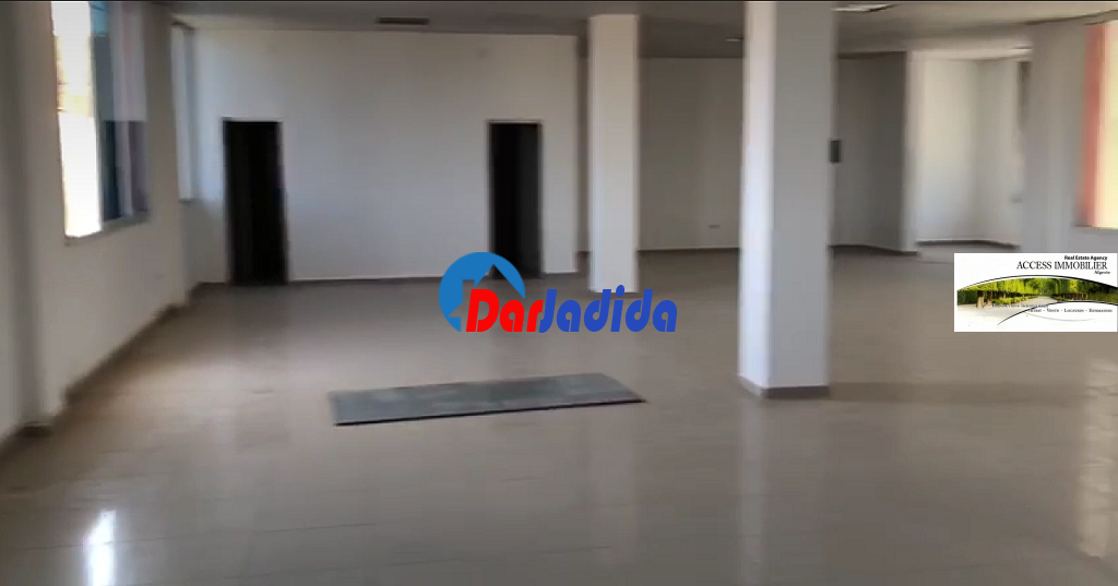 Location Local  Alger