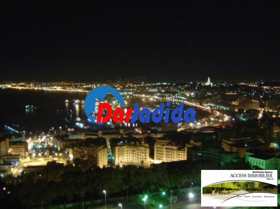 Vente Terrain  Alger