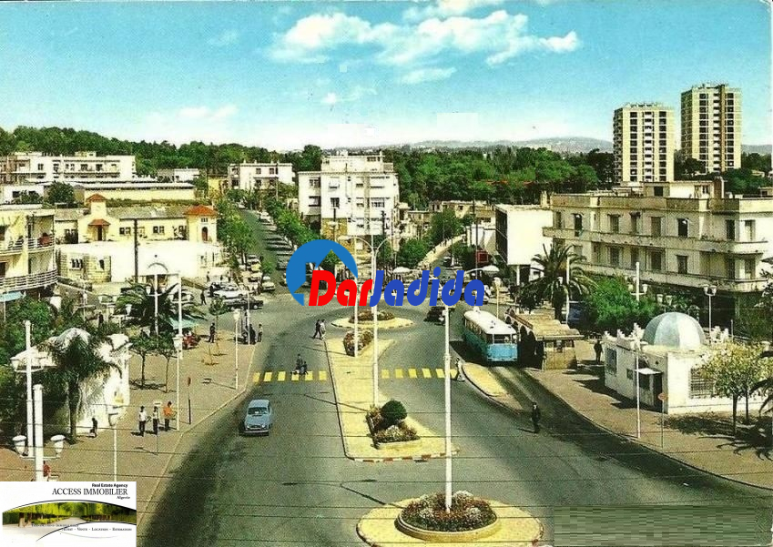 Vente Terrain  Alger