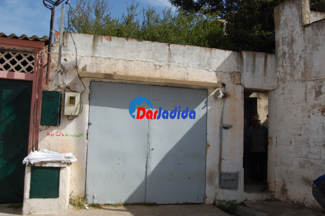 Vente Terrain  Alger