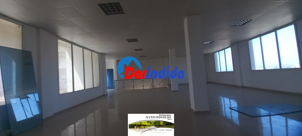 Location Local  Alger